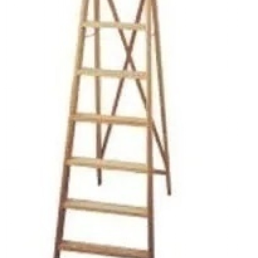 escalera-familiar-prof-8-esc-6463