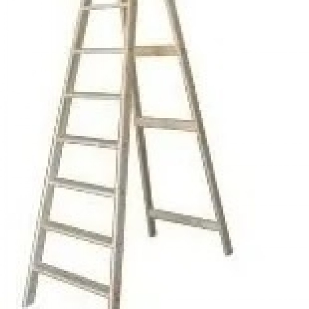 escalera-familiar-prof-10-esc-6465