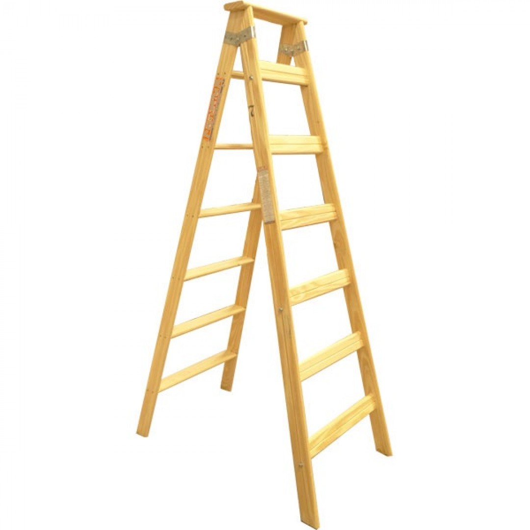 escalera-combinada-prof-10-esc-9887